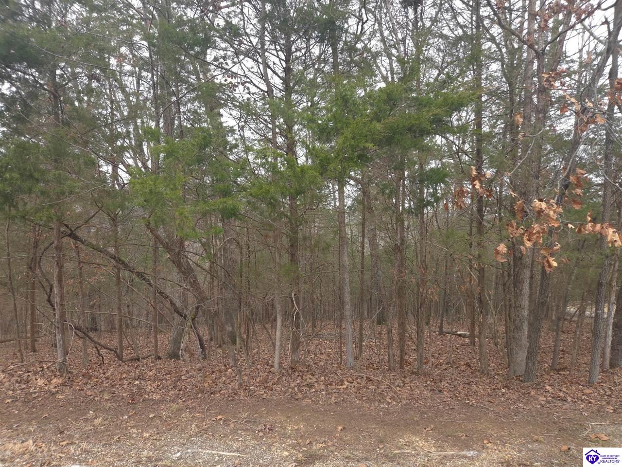 137 Primrose Lane Brandenburg, KY 40108 #2