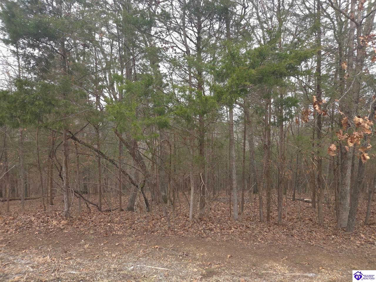 137 Primrose Lane Brandenburg, KY 40108 #3