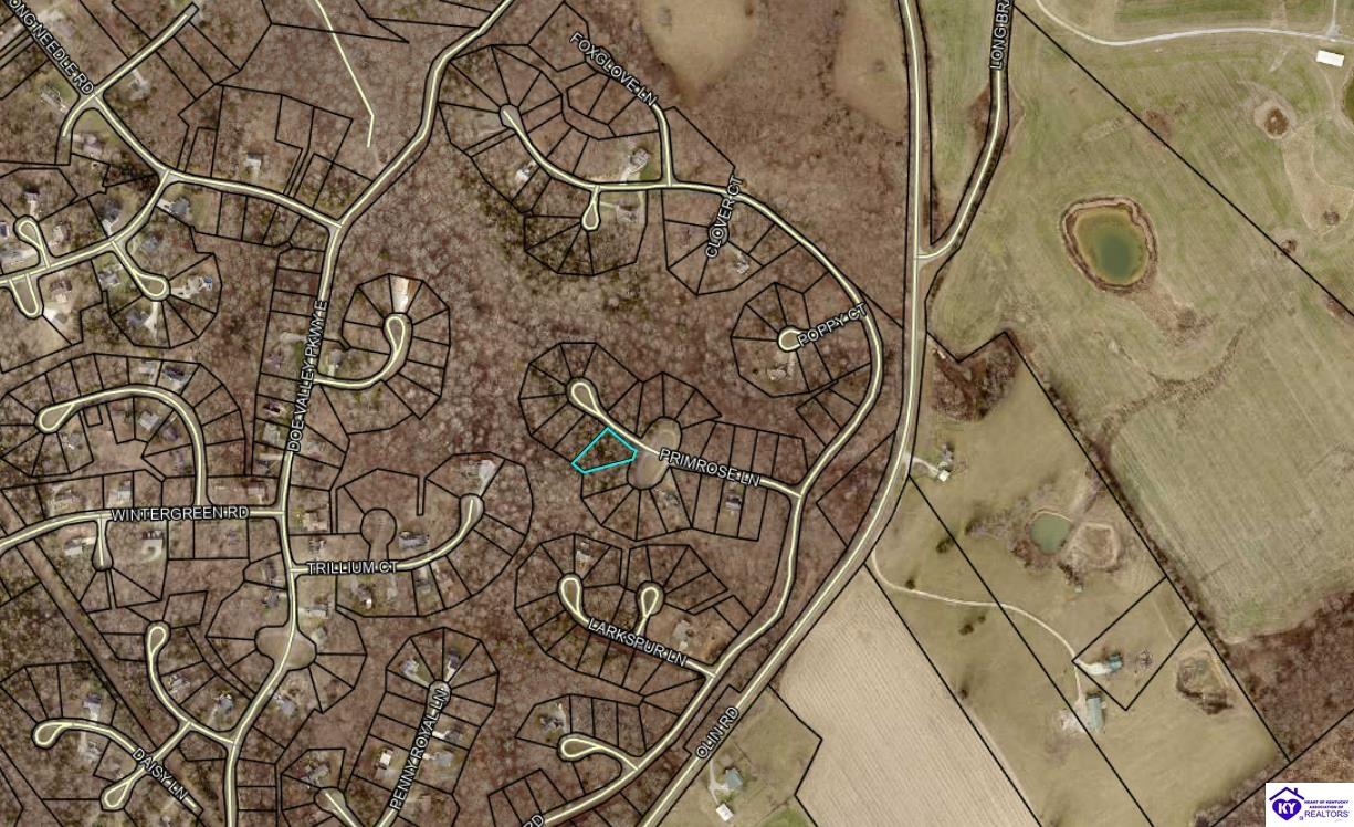 137 Primrose Lane Brandenburg, KY 40108 #4