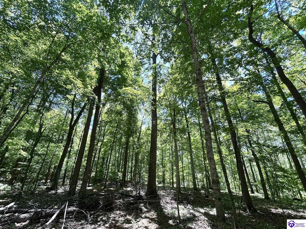2525 Salem Lake Road Hodgenville, KY 42748 #1