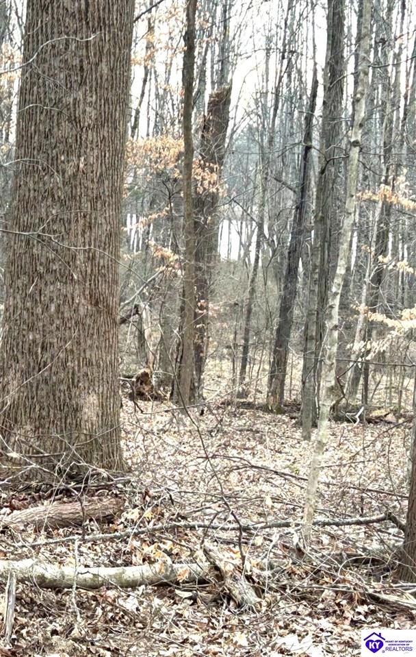 2525 Salem Lake Road Hodgenville, KY 42748 #1