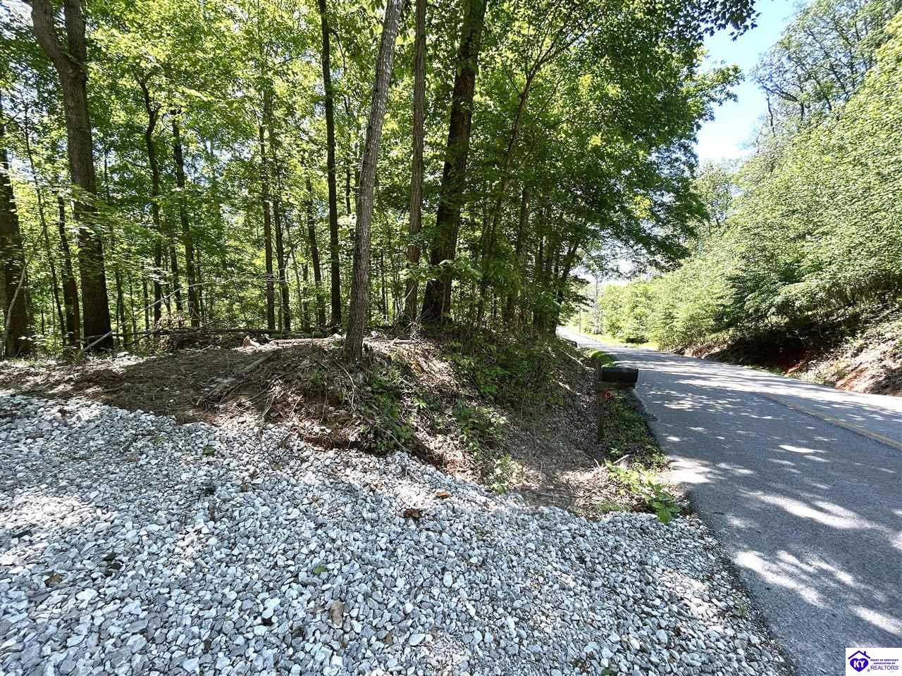 2525 Salem Lake Road Hodgenville, KY 42748 #2