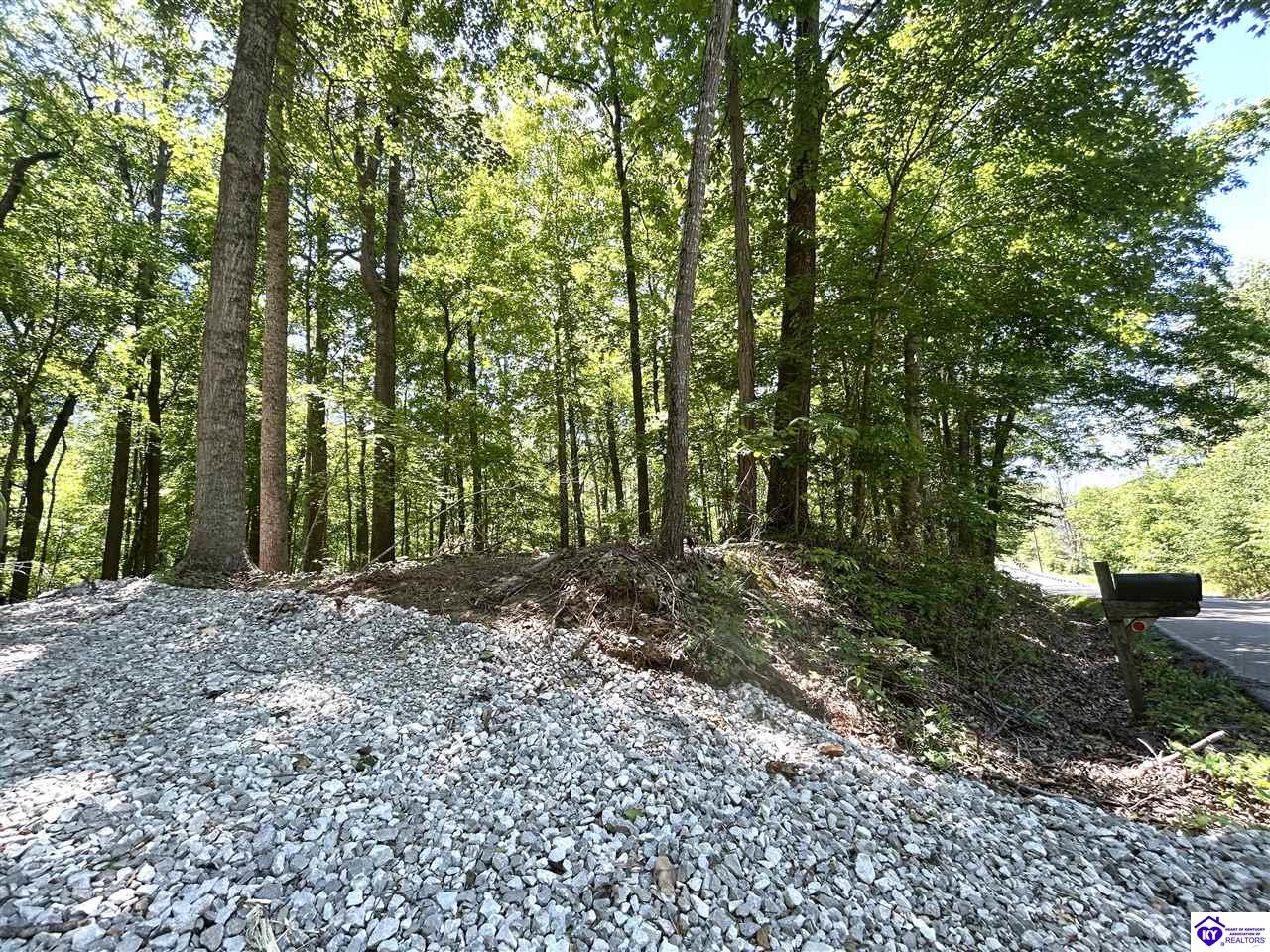 2525 Salem Lake Road Hodgenville, KY 42748 #3
