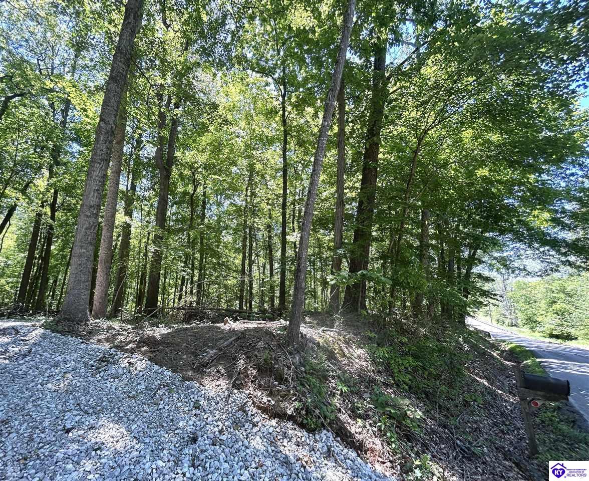 2525 Salem Lake Road Hodgenville, KY 42748 #4