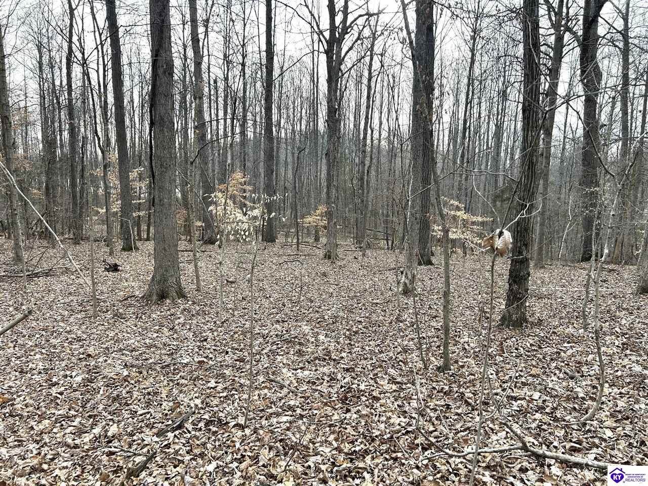 2525 Salem Lake Road Hodgenville, KY 42748 #2