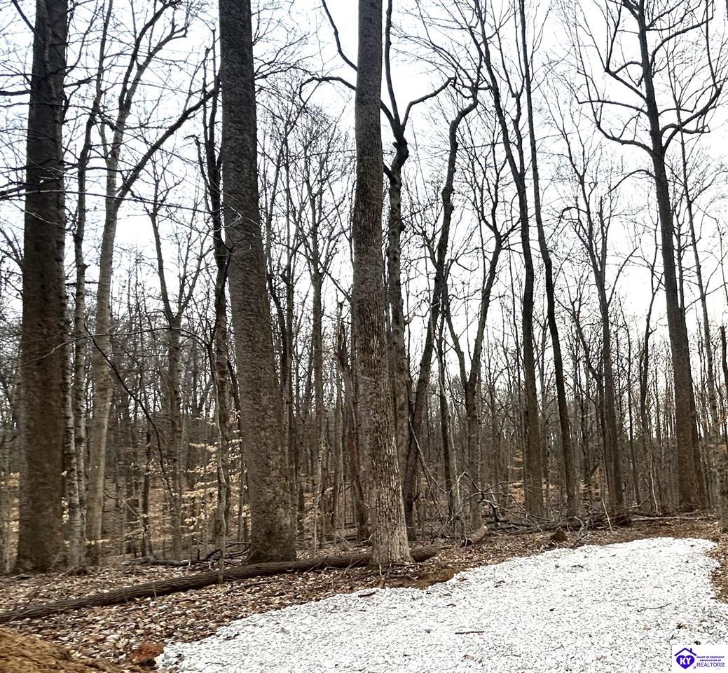 2525 Salem Lake Road Hodgenville, KY 42748 #3