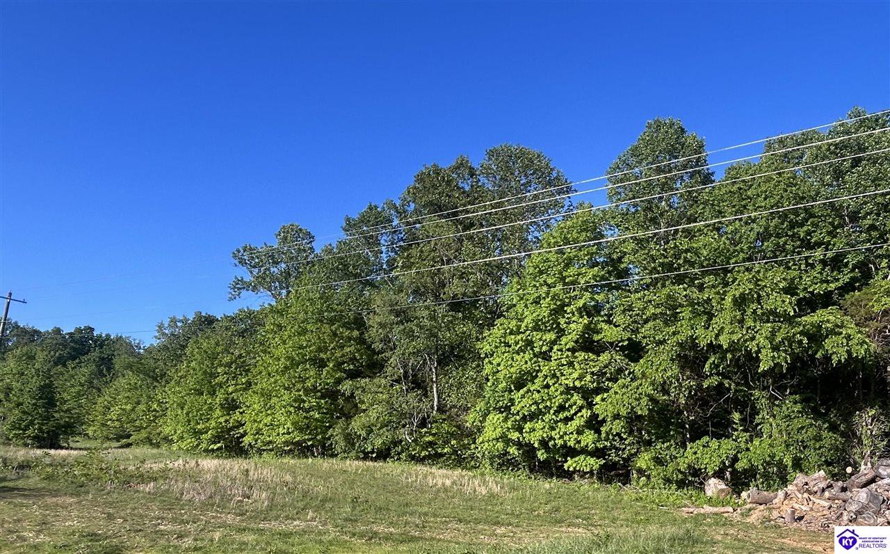 Lot 5 Shepherdsville Road Elizabethtown, KY 42701 #1