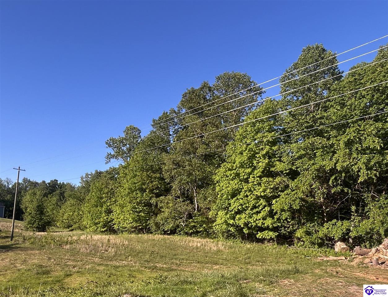 Lot 5 Shepherdsville Road Elizabethtown, KY 42701 #2