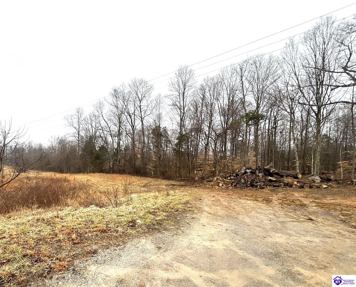 Lot 5 Shepherdsville Road Elizabethtown, KY 42701 #3