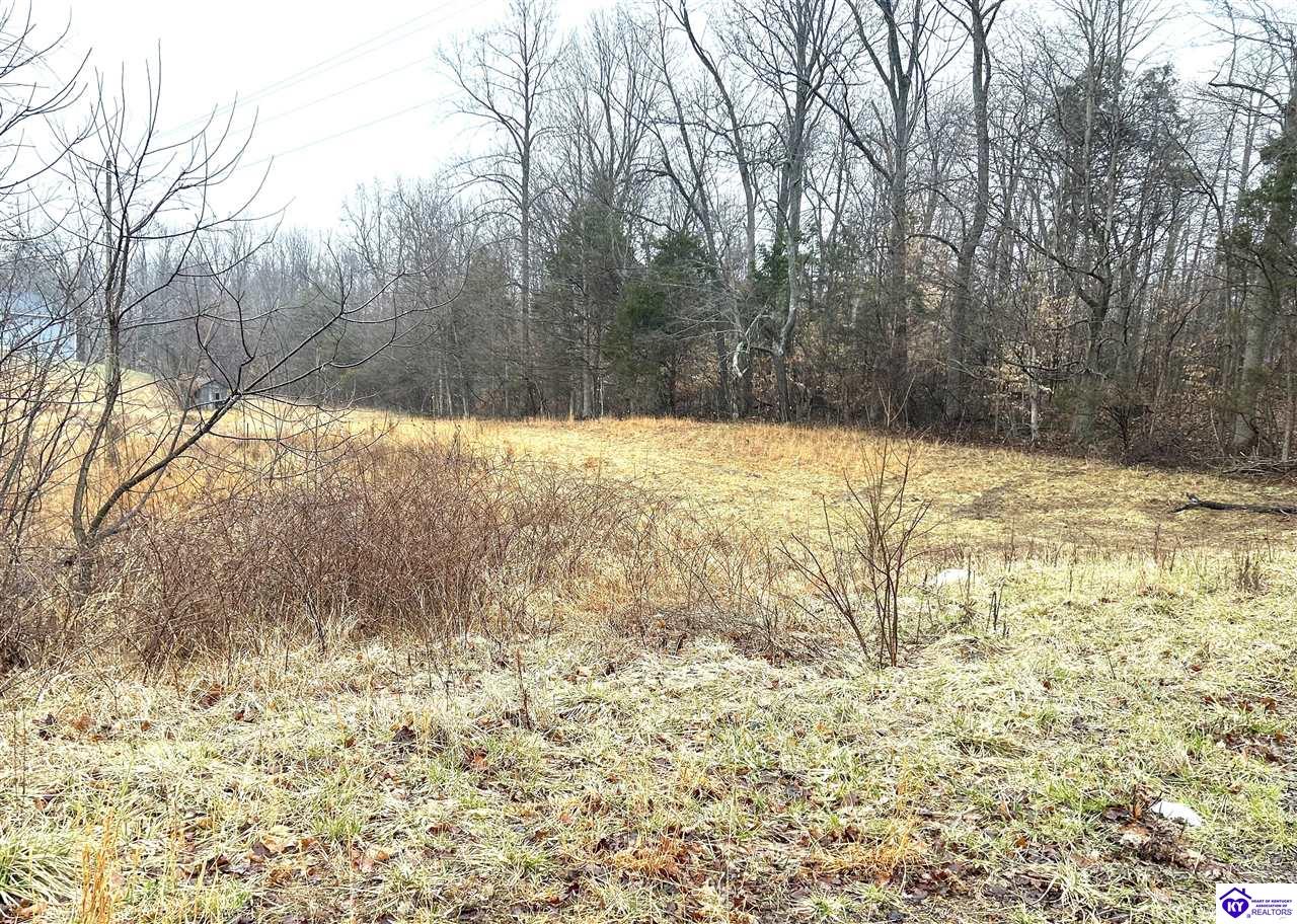 Lot 5 Shepherdsville Road Elizabethtown, KY 42701 #3