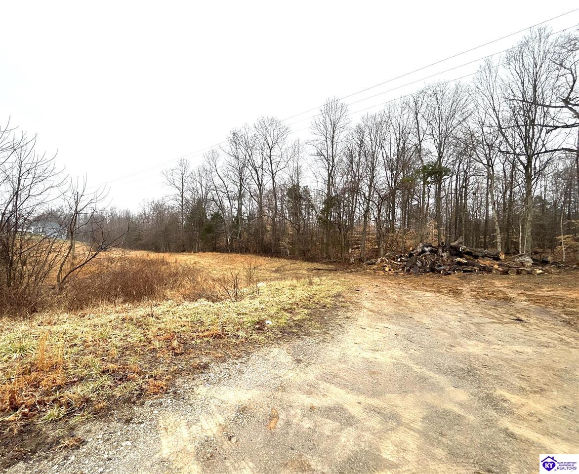 Lot 5 Shepherdsville Road Elizabethtown, KY 42701 #4