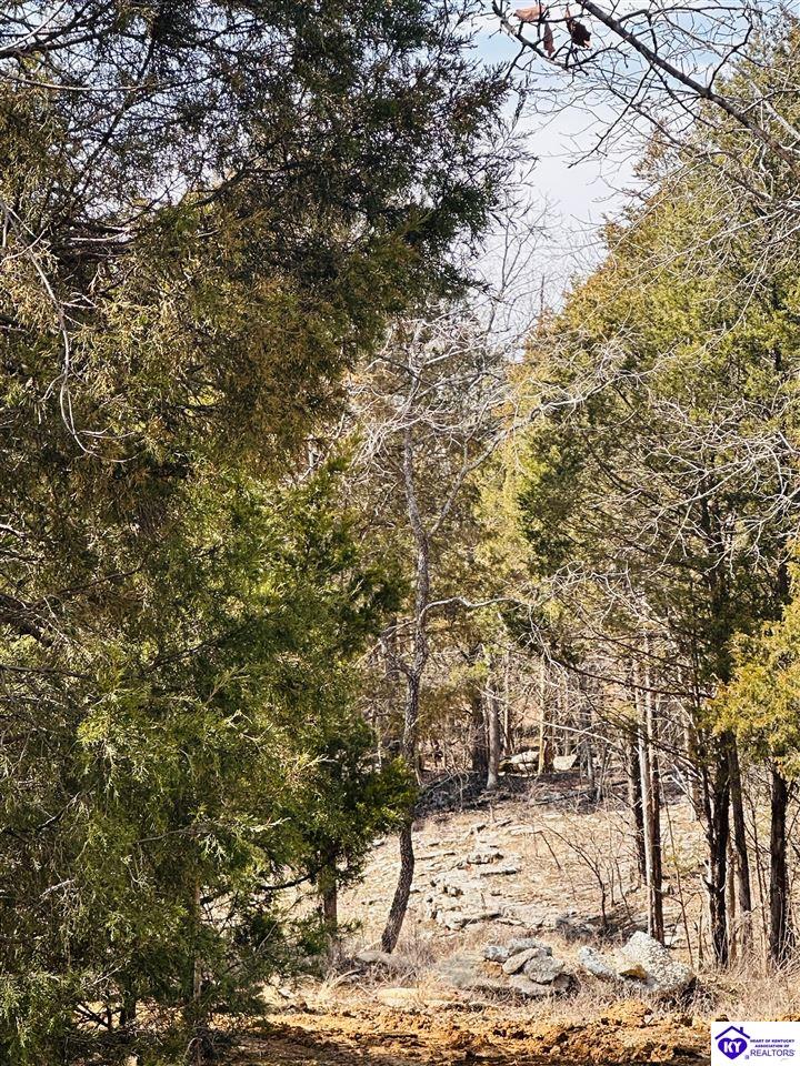 350 Cave Creek Road Falls Of Rough, KY 40119 #1