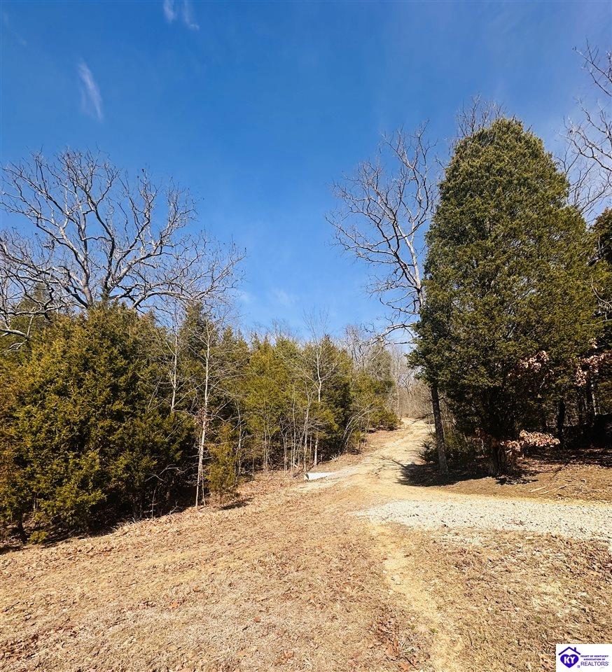 350 Cave Creek Road Falls Of Rough, KY 40119 #3