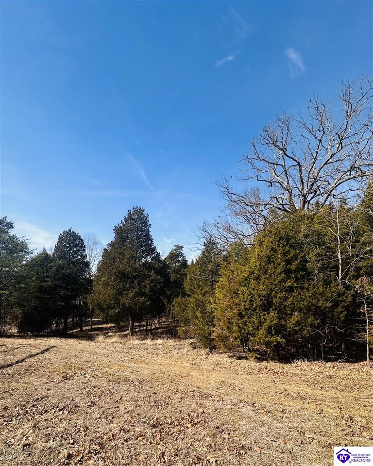 350 Cave Creek Road Falls Of Rough, KY 40119 #4