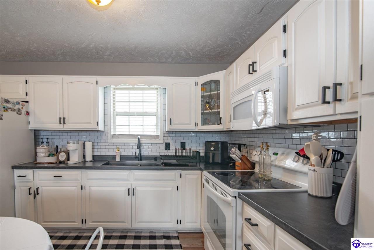 1035 Bailey Road Magnolia, KY 42757 #4