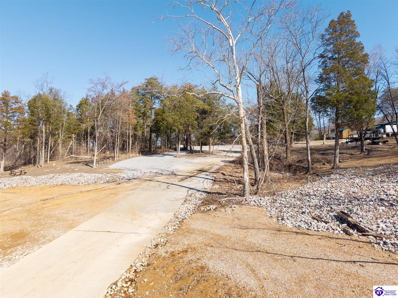 114 Birch Lane Cub Run, KY 42729 #4