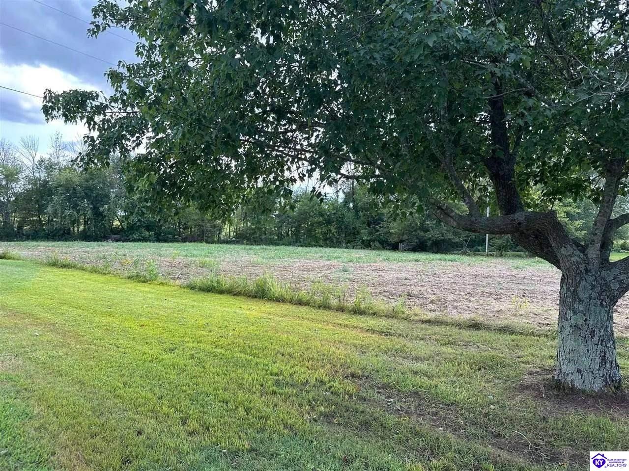 268 Hickory Flats Road Clarkson, KY 42726 #1
