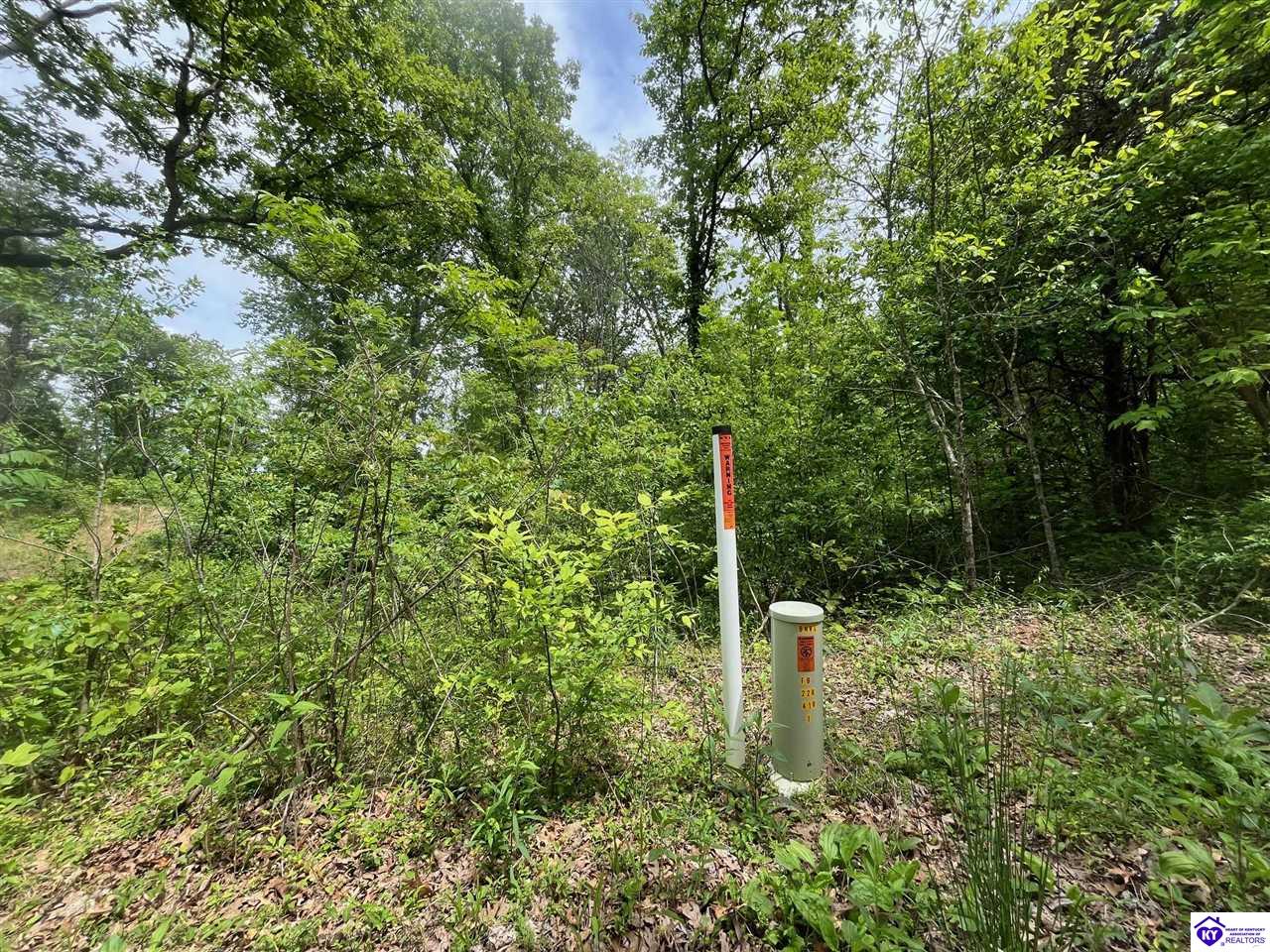 2208 Rocky Hill Road Bonnieville, KY 42713 #1