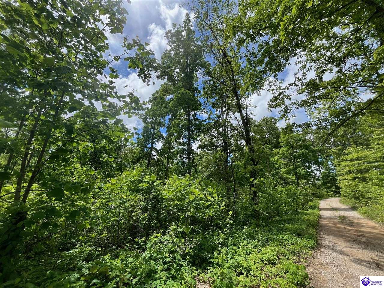 2208 Rocky Hill Road Bonnieville, KY 42713 #3