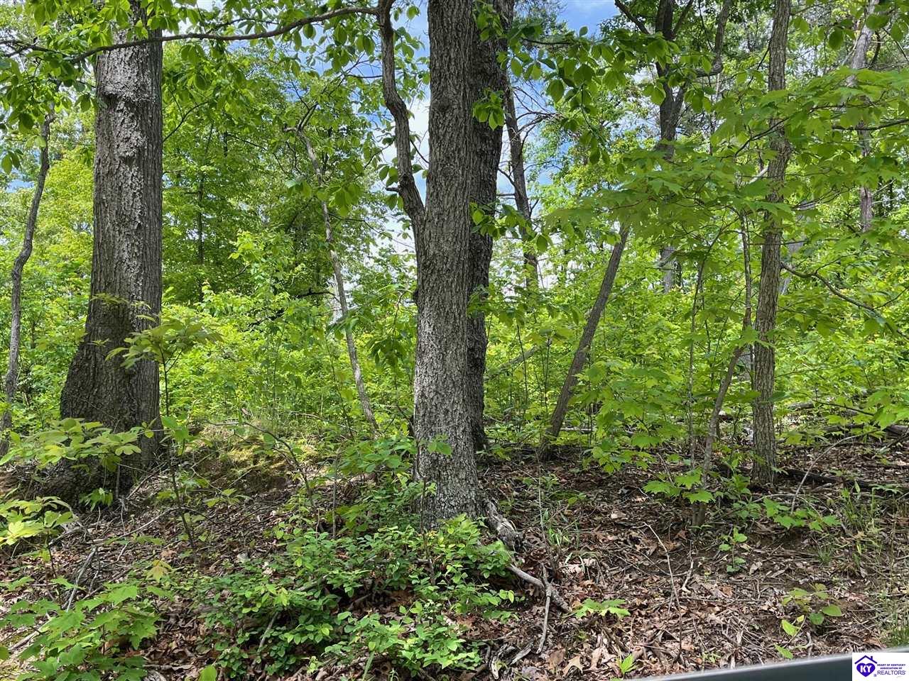 2208 Rocky Hill Road Bonnieville, KY 42713 #4