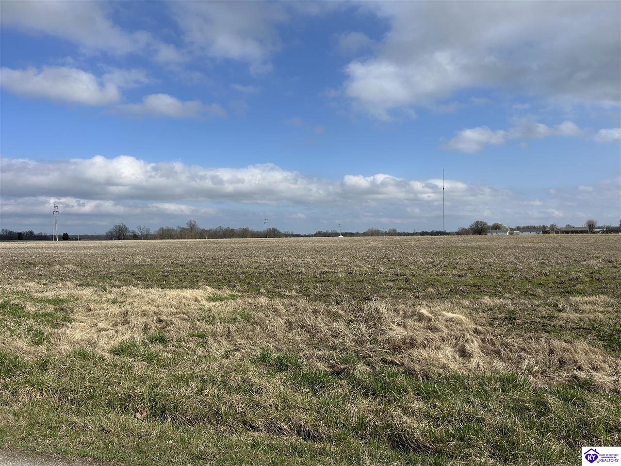 184 Fred Phillips Lane Hardinsburg, KY 40143 #1