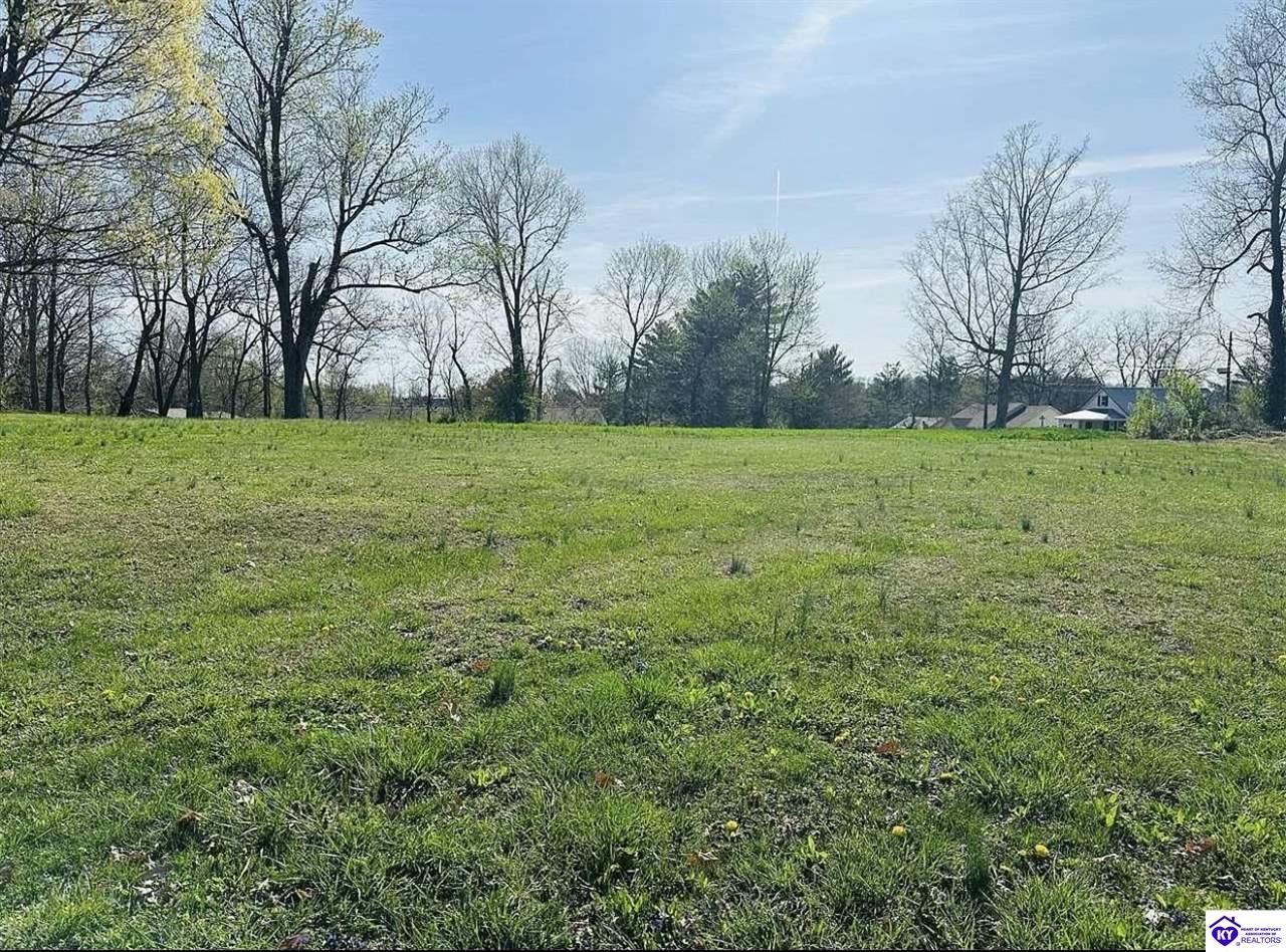 137 Coppock Street Campbellsville, KY 42718 #3