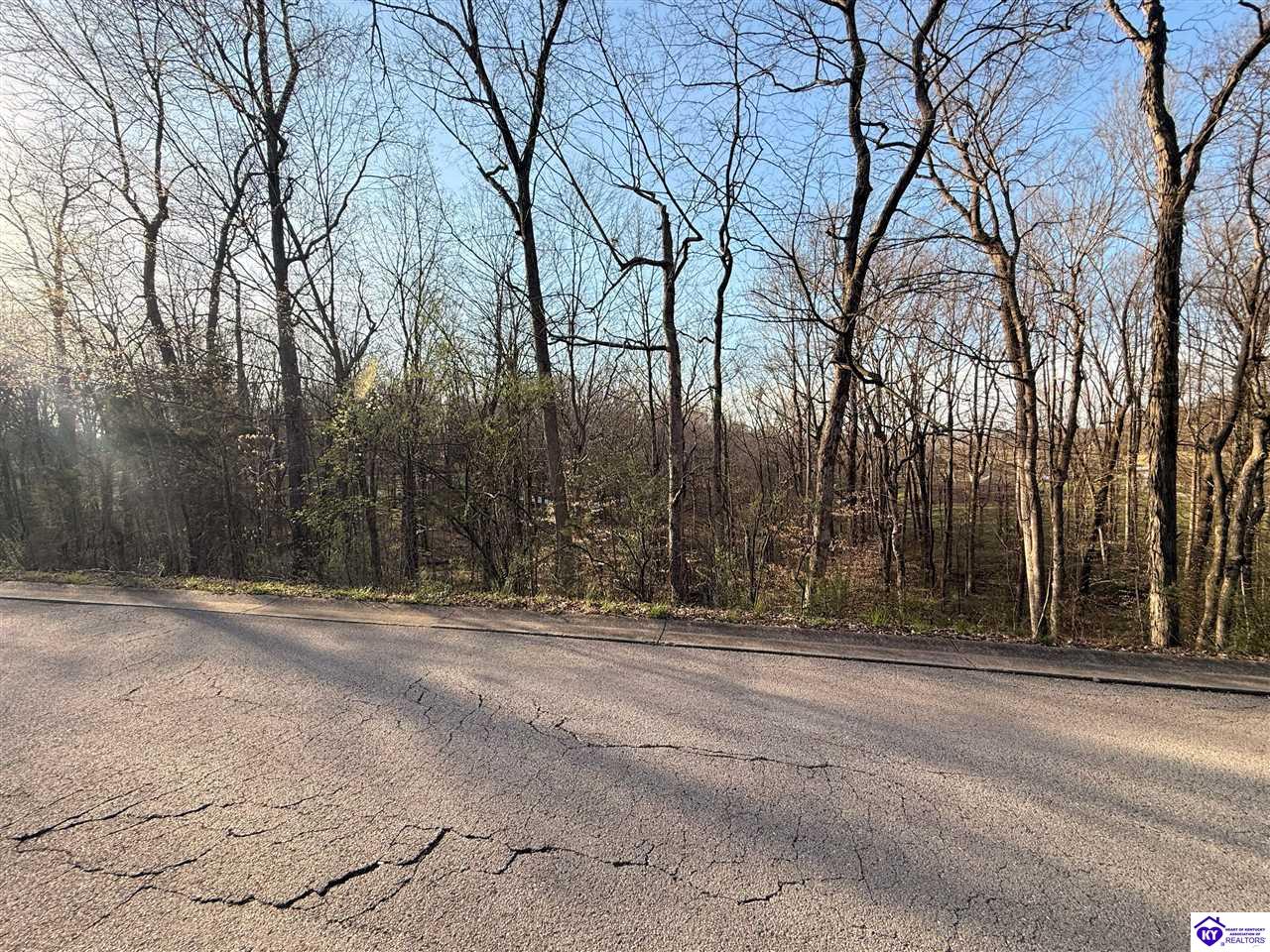 Lot 6 Tanglewood DriveGlasgow,&nbsp;KY&nbsp;42141