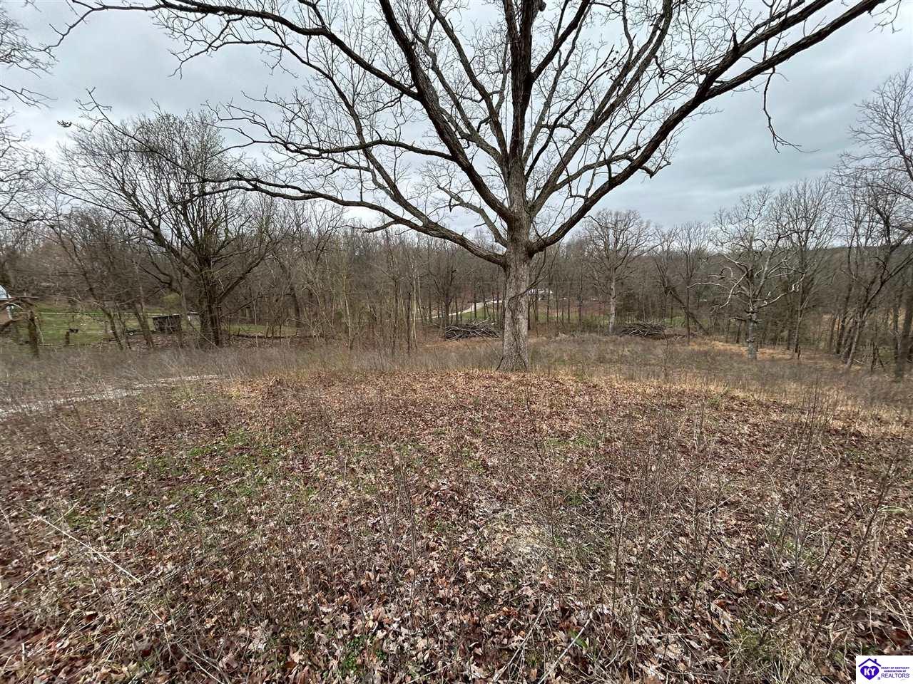 185 Rhodelia Road Payneville, KY 40157 #1