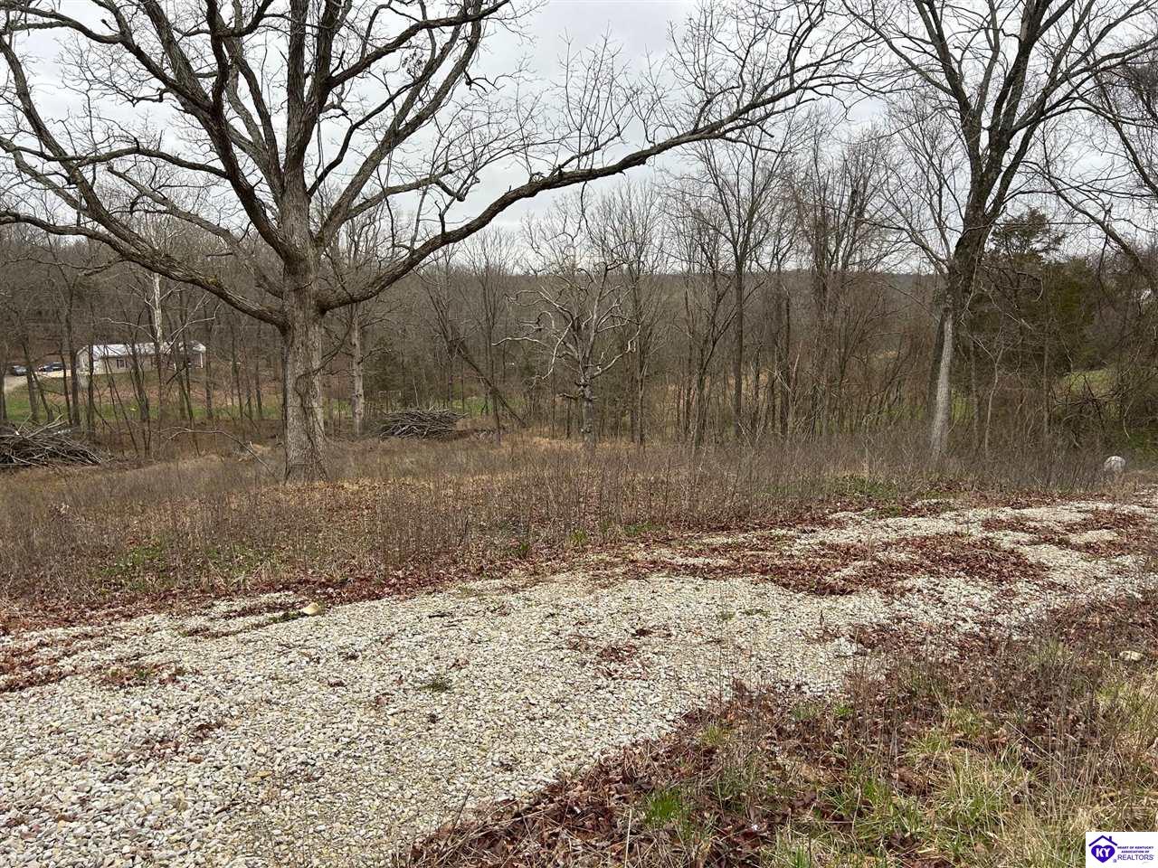 185 Rhodelia Road Payneville, KY 40157 #2