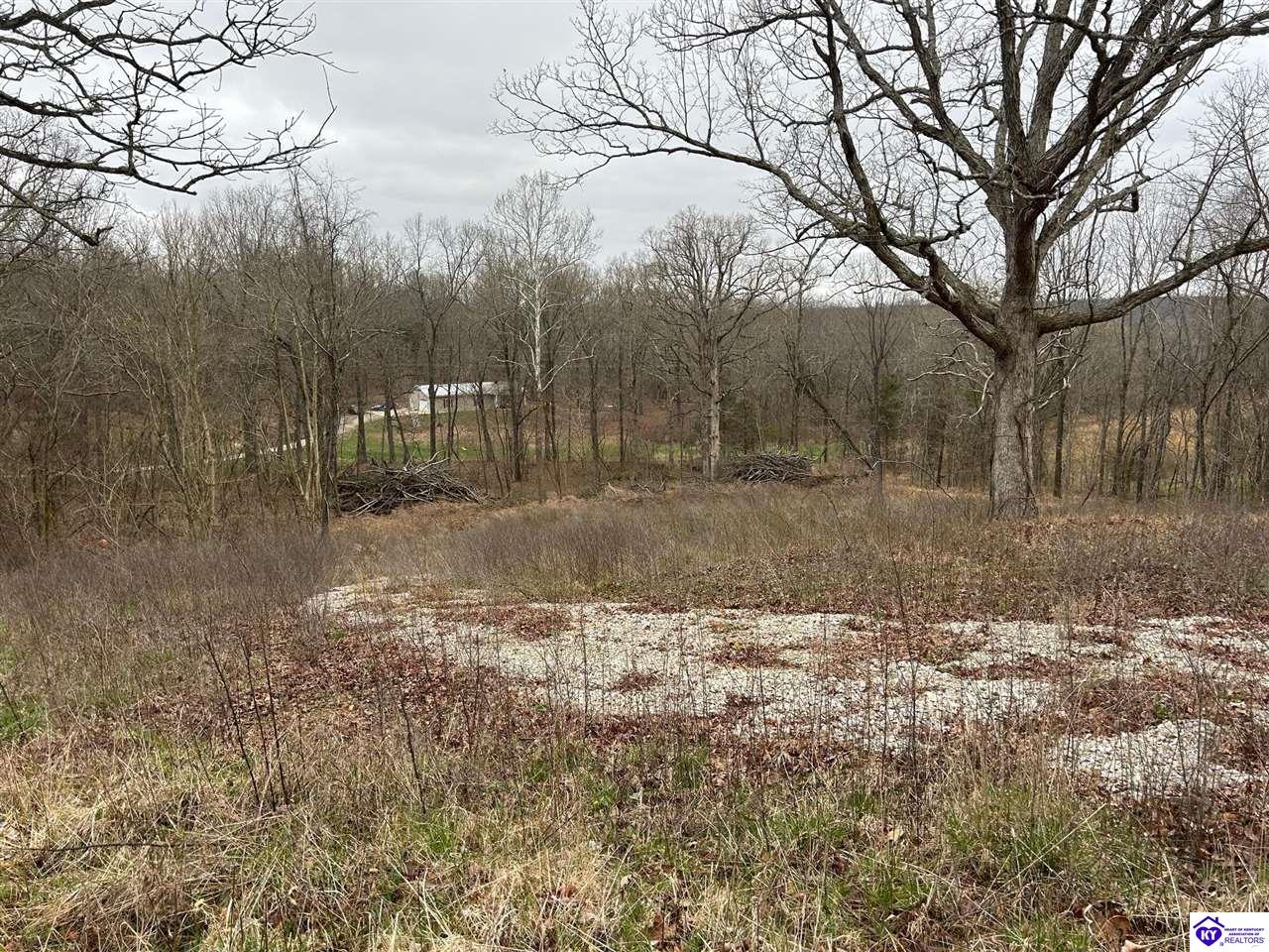 185 Rhodelia Road Payneville, KY 40157 #3