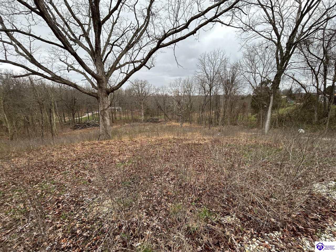 185 Rhodelia Road Payneville, KY 40157 #4