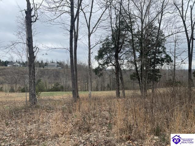 0 Sylvan CircleLeitchfield,&nbsp;KY&nbsp;42754