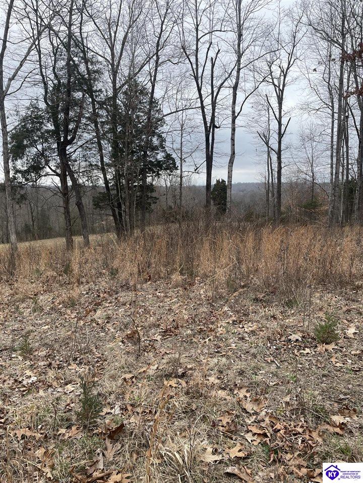 0 Sylvan Circle Leitchfield, KY 42754 #1