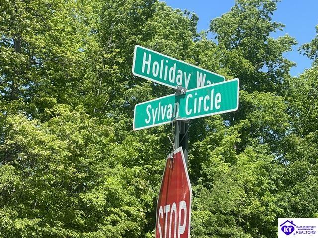 0 Sylvan Circle Leitchfield, KY 42754 #2