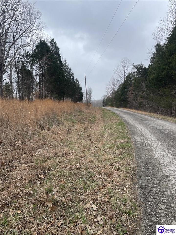 0 Sylvan Circle Leitchfield, KY 42754 #3