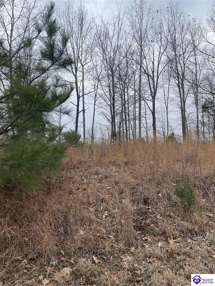 0 Sylvan Circle Leitchfield, KY 42754 #4