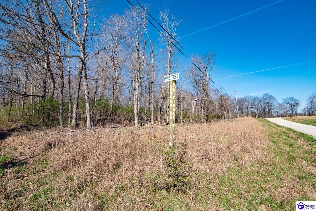Lot 142 Pine Tree Drive New Haven, KY 40051 #2