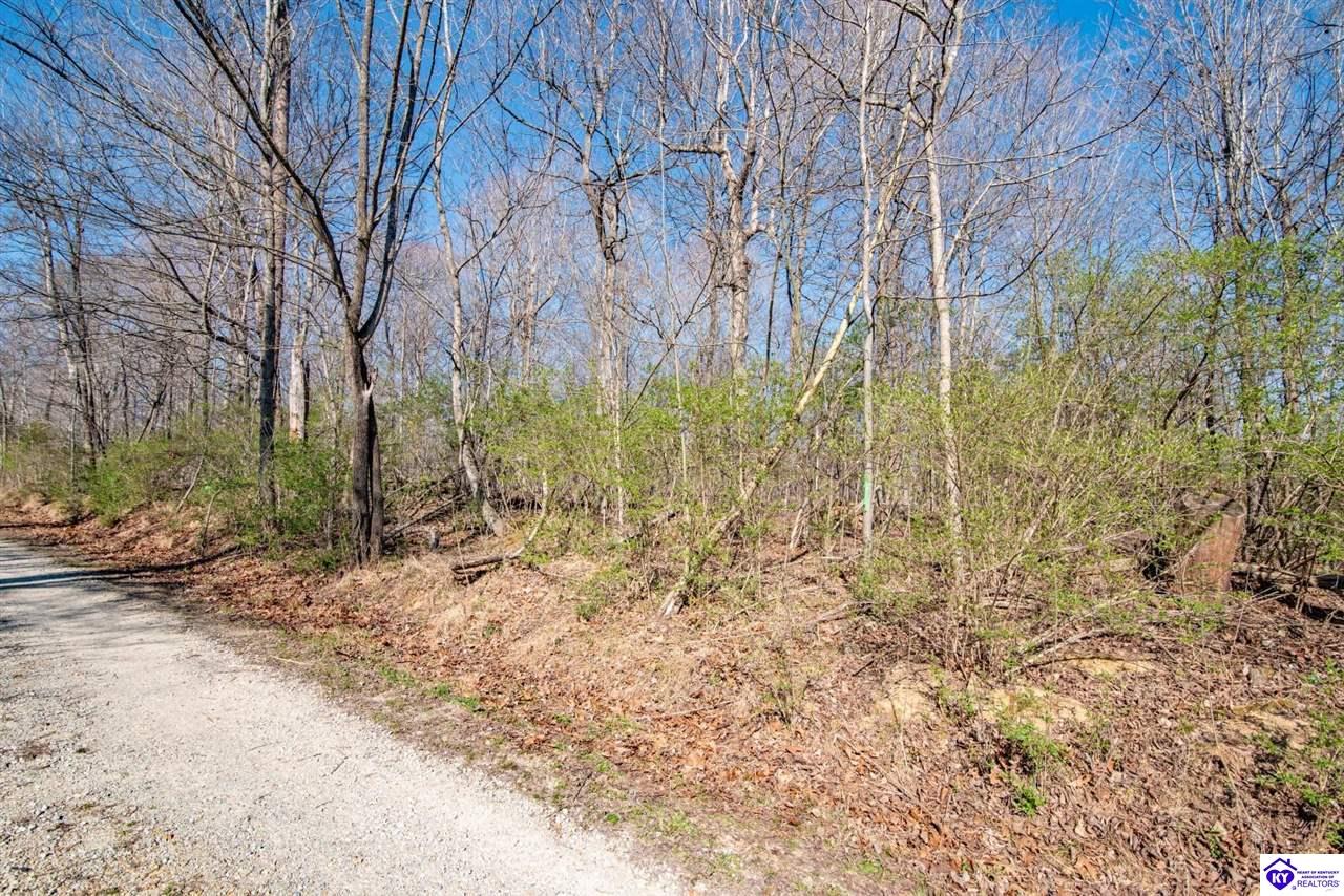 Lot 142 Pine Tree Drive New Haven, KY 40051 #3