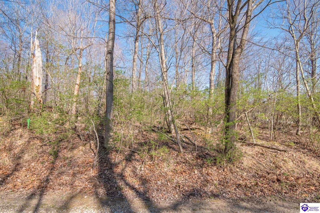 Lot 142 Pine Tree Drive New Haven, KY 40051 #4