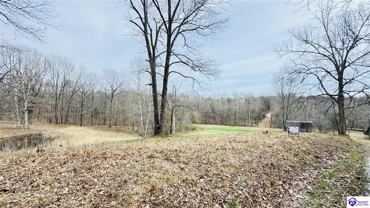 425 Macedonia RoadFalls Of Rough,&nbsp;KY&nbsp;40119