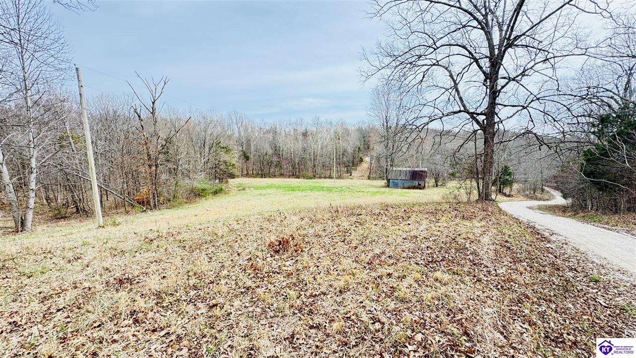 425 Macedonia Road Falls Of Rough, KY 40119 #1