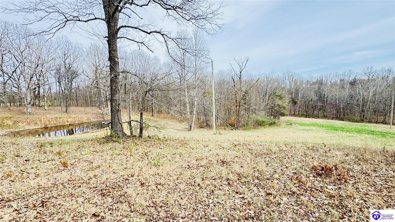 425 Macedonia Road Falls Of Rough, KY 40119 #4