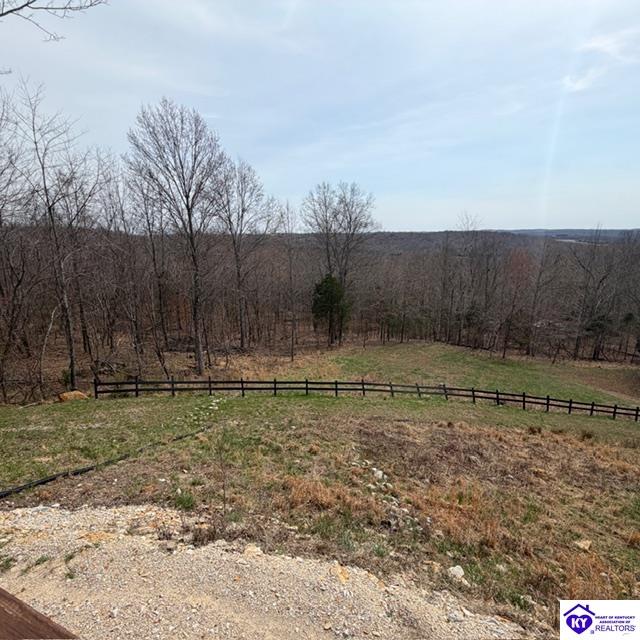 107 Junction Spur Road Falls Of Rough, KY 40119 #1
