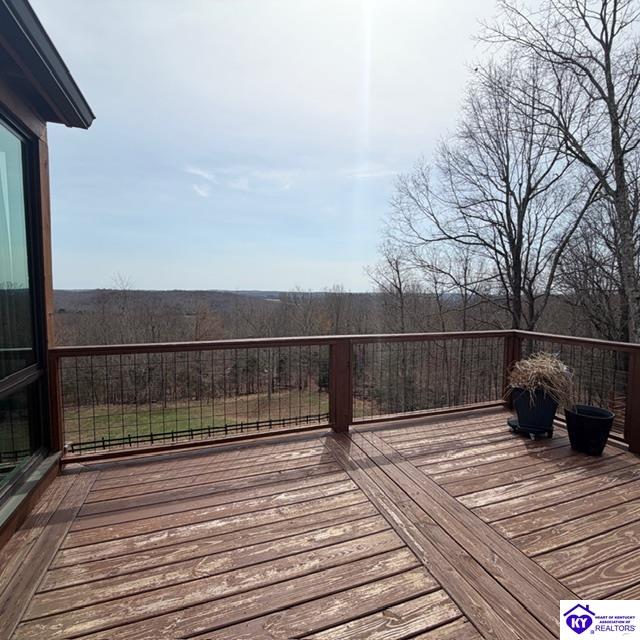 107 Junction Spur Road Falls Of Rough, KY 40119 #2