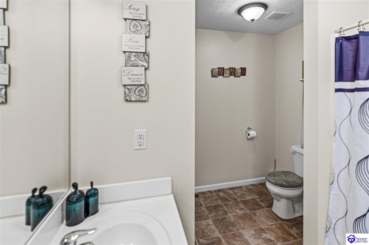 438 Willow Lake Drive Vine Grove, KY 40175 #4