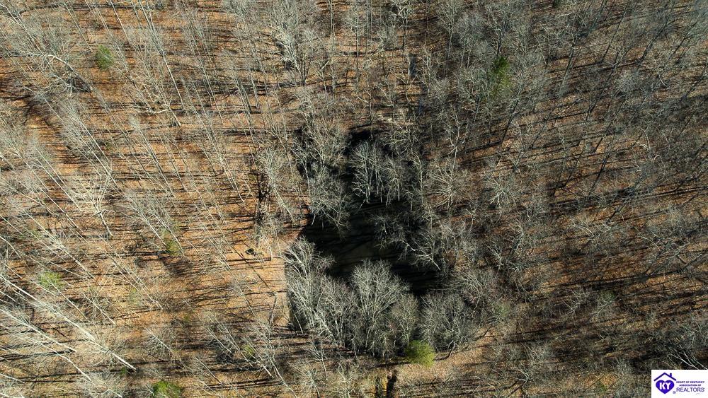 2323 Jones School Road Mount Sherman, KY 42764 #4