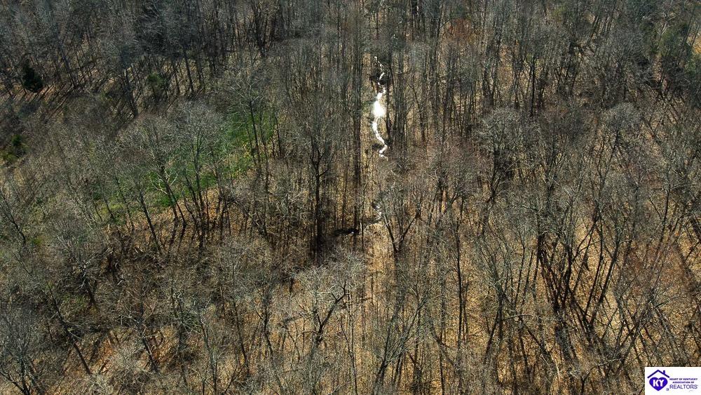 TRACT 3 Jones School Road Mount Sherman, KY 42716 #1