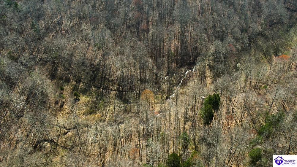 TRACT 3 Jones School Road Mount Sherman, KY 42716 #2