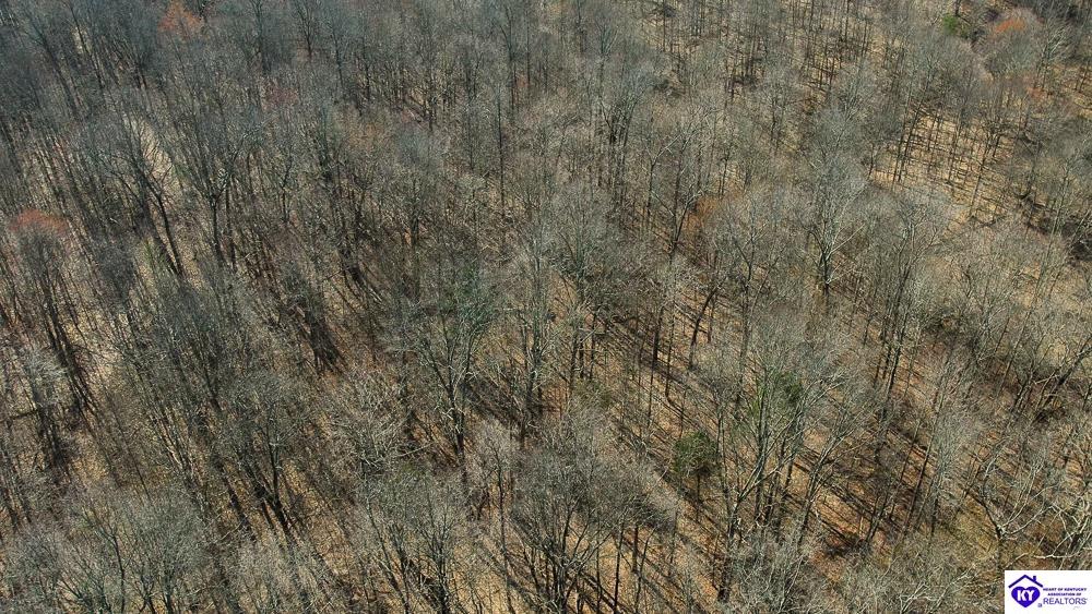 TRACT 3 Jones School Road Mount Sherman, KY 42716 #4