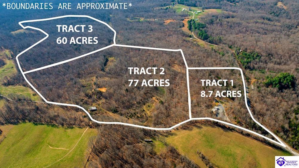 TRACT 2 Jones School RoadMount Sherman,&nbsp;KY&nbsp;42764